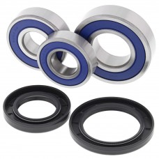 ALL BALLS Wheel Bearing Kit Rear