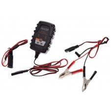 12/6v Battery Charger and Optimizer