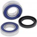 ALL BALLS Wheel Bearing Kit Front